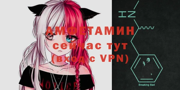гашик Осинники