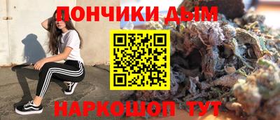 крисы Кунгур