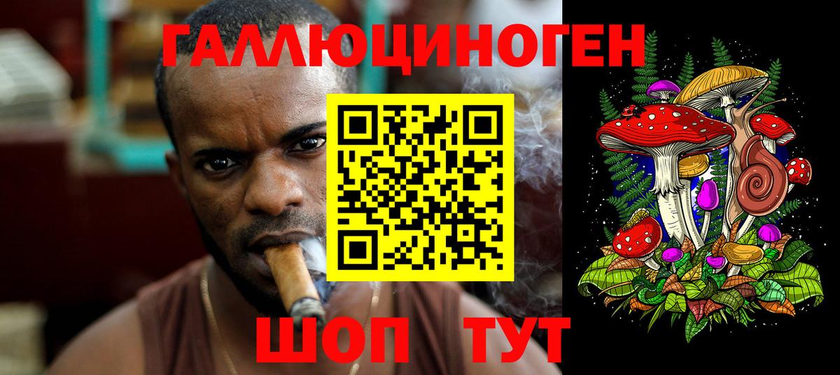 Галлюциногенные грибы Psilocybe Камышин