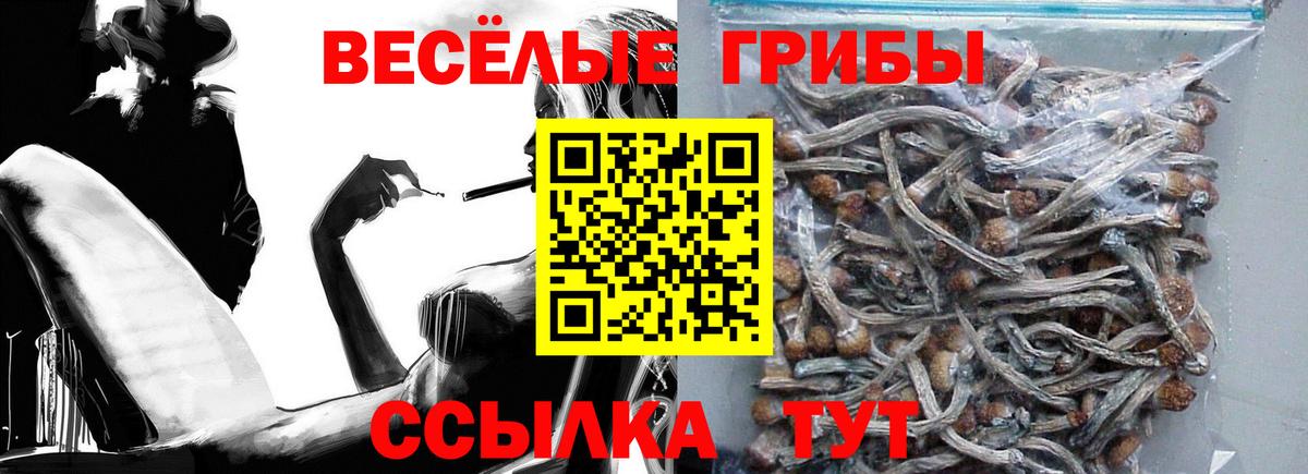 Камышин  Галлюциногенные грибы ЛСД  Вход с VPN  Псилоцибиновые грибы MAGIC MUSHROOMS 